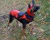 Topsee-ADOPTED 10.24.12