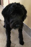 India- ADOPTED 10.25.12