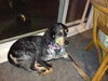 Posey-ADOPTED 02.26.13