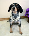 Posey-ADOPTED 02.26.13