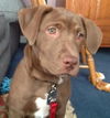 Fiona - ADOPTED 01.03.13