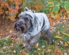 Rubin-ADOPTED 10.29.12