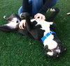 Forestt-ADOPTED 11.09.12