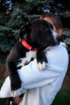 Eg Litter Autumn - ADOPTED 11.11.12