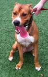 Ritchie-ADOPTED 10.30.12