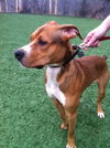 Ritchie-ADOPTED 10.30.12