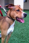 Ritchie-ADOPTED 10.30.12
