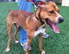 Ritchie-ADOPTED 10.30.12