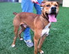 Ritchie-ADOPTED 10.30.12
