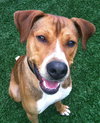 Ritchie-ADOPTED 10.30.12