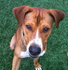 Ritchie-ADOPTED 10.30.12