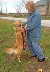 Stella Rose-ADOPTED 11.10.12