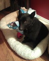 Princess-ADOPTED 09.07.13