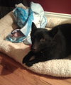 Princess-ADOPTED 09.07.13