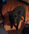 Princess-ADOPTED 09.07.13