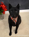 Princess-ADOPTED 09.07.13