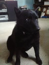 Princess-ADOPTED 09.07.13