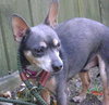 Maury-ADOPTED 05.23.13