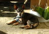 Maury-ADOPTED 05.23.13