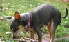 Maury-ADOPTED 05.23.13
