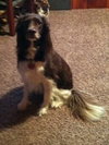 Ms. Brandy-ADOPTED 11.23.12