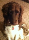 Ms. Brandy-ADOPTED 11.23.12
