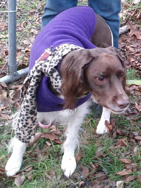 Ms. Brandy-ADOPTED 11.23.12