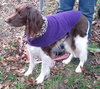 Ms. Brandy-ADOPTED 11.23.12