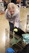 Seraphina-ADOPTED 09.28.13