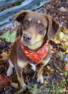 Kennedy - ADOPTED 01.29.13
