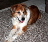 Annie Oakley-ADOPTED 12.09.12