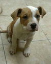 Kg Litter Molly - ADOPTED 12.20.12