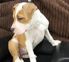 Kg Litter Molly - ADOPTED 12.20.12