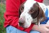 Dually - ADOPTED 01.17.14
