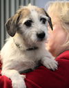 Fern-ADOPTED 03.02.13