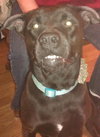 Ruthie-ADOPTED 02.18.13