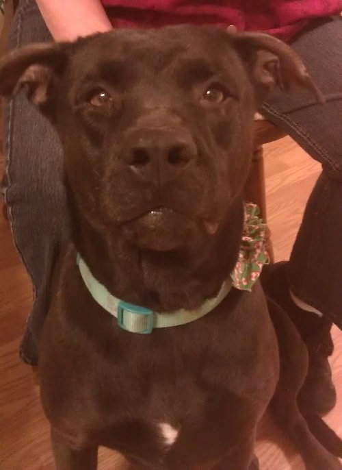 Ruthie-ADOPTED 02.18.13