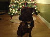 Starr-ADOPTED 01.12.13