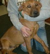 Nicholas-ADOPTED 05.05.13