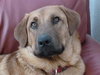 Nicholas-ADOPTED 05.05.13