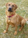 Nicholas-ADOPTED 05.05.13
