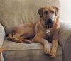 Nicholas-ADOPTED 05.05.13