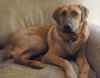 Nicholas-ADOPTED 05.05.13