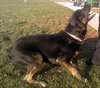 Quinn-ADOPTED 02.04.13