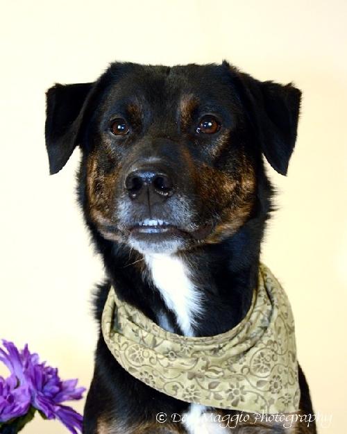 Quinn-ADOPTED 02.04.13