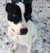 Peter-ADOPTED 02.02.13