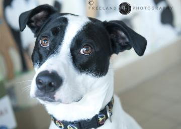 Peter-ADOPTED 02.02.13