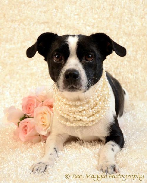 Hope - ADOPTED 02.18.13