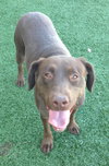 Simone-ADOPTED 05.04.13