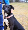 Noah-ADOPTED 06.02.13